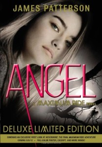 Book Cover of Angel