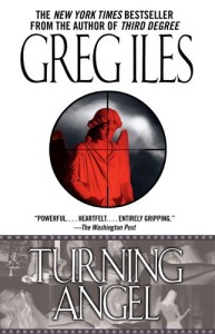 Book cover of Turning Angel